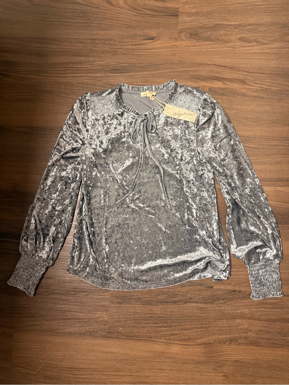 Mystree Velvet Embellished Gray/Blue Top